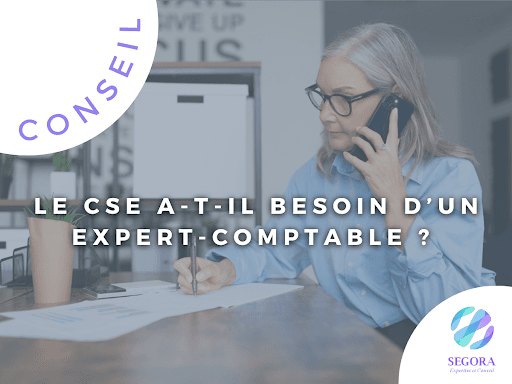 Segora Expertise Et Conseil