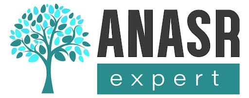 Anasr Expert