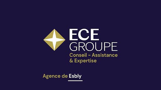 ECE GROUPE / ANCOFIS - Conseil Assistance & Expertise